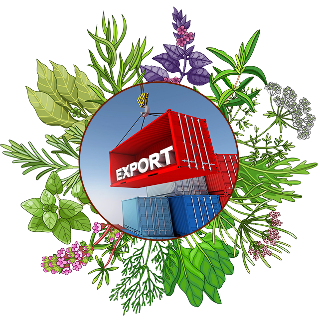 Global Organic Supply.