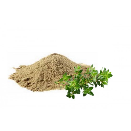 bacopa-monnieri-powder