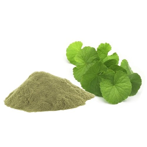 gotu-kola-centella-asiatica-centella-brahmi-asiatic-pennywort-powder